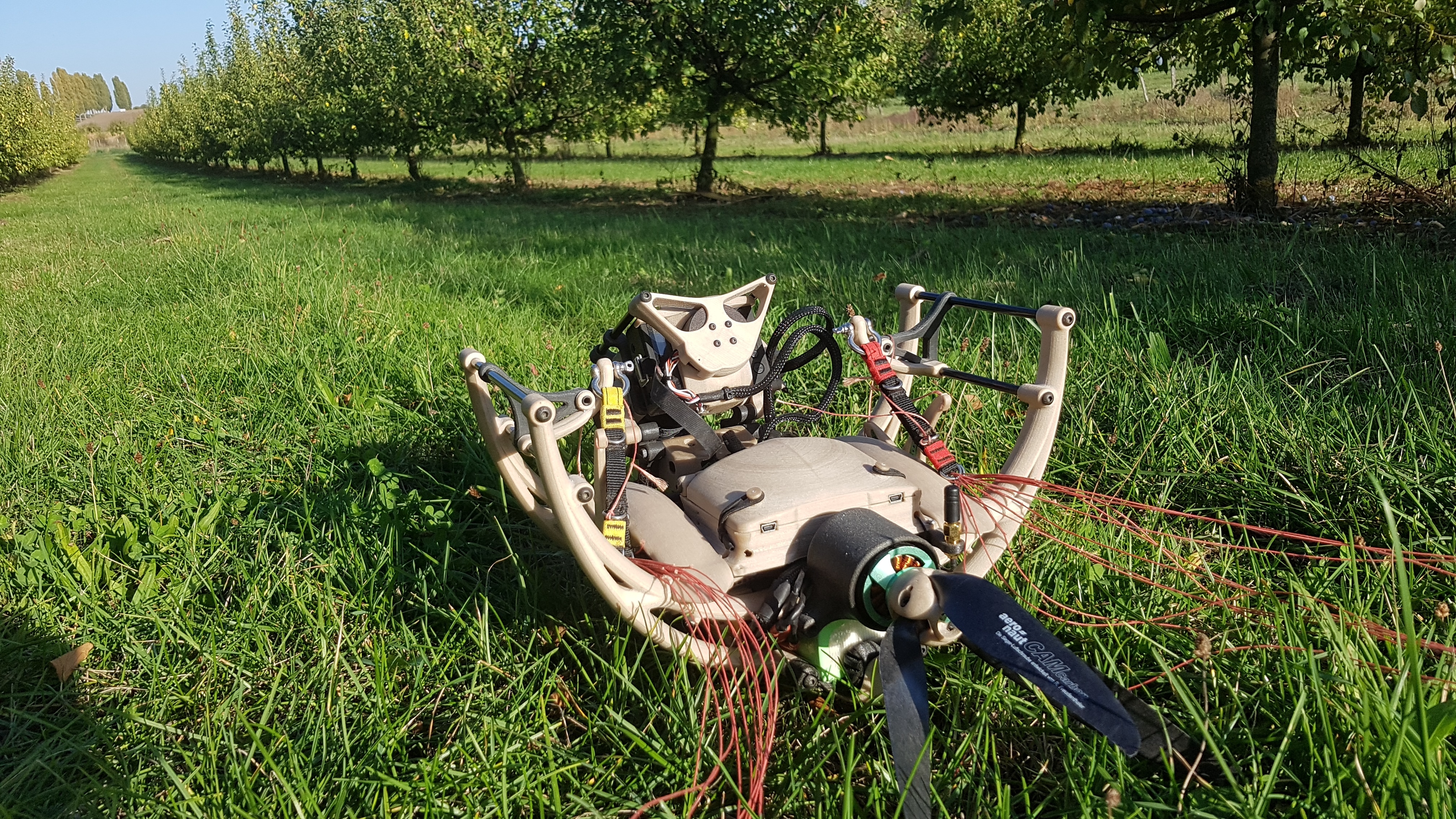 Photo drone paramoteur sur terrain sommaires