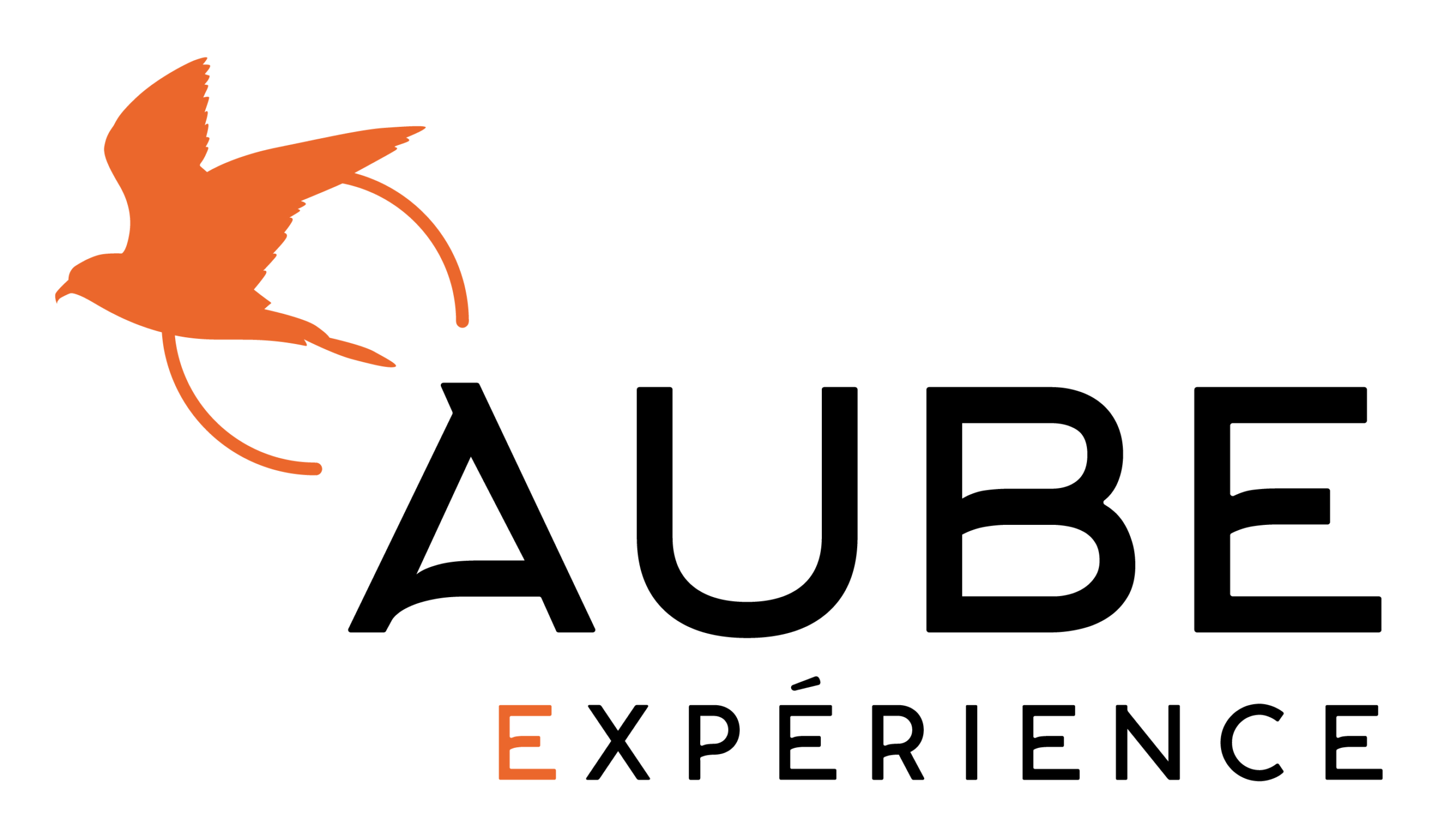 logo aube expérience